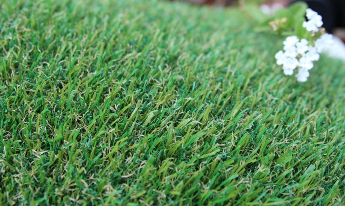 Petgrass-55 syntheticgrass Artificial Grass  