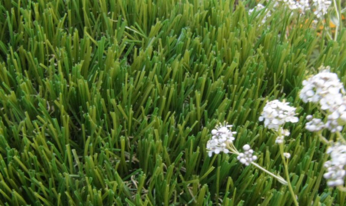 V Blade-64 syntheticgrass Artificial Grass  
