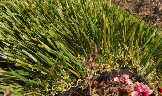 Double S-61 syntheticgrass Artificial Grass  