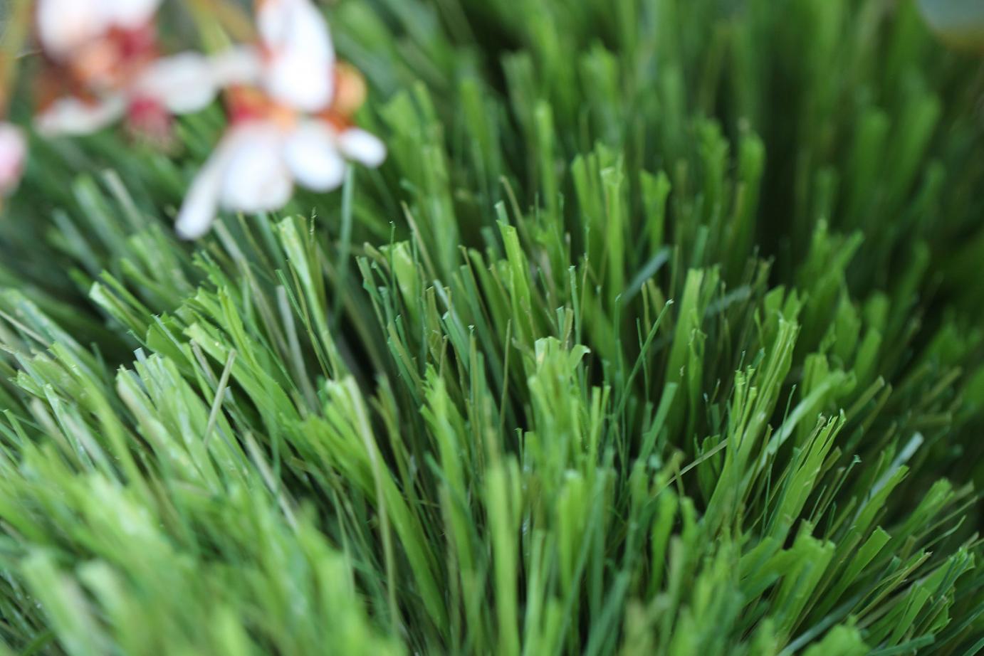 Artificial Grass Artificial Turf