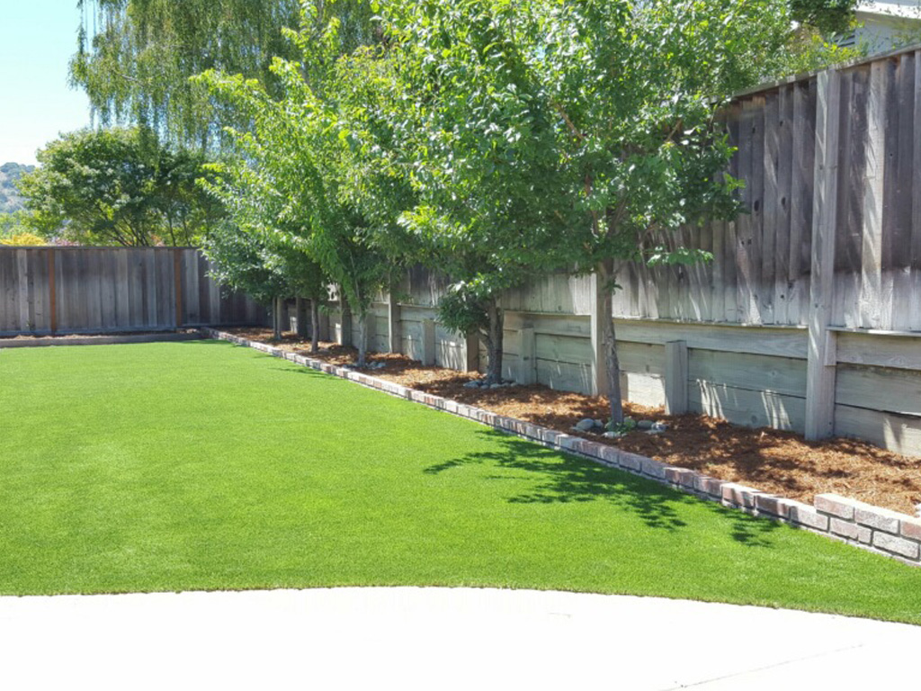 Synthetic Grass Alexandria Ohio Home And Garden Backyard Design