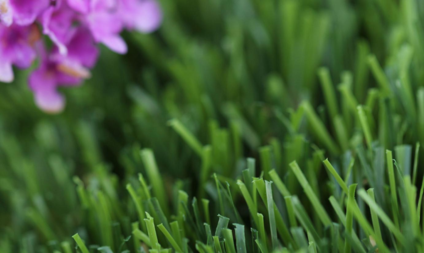 Artificial Grass Artificial Turf For Businesses