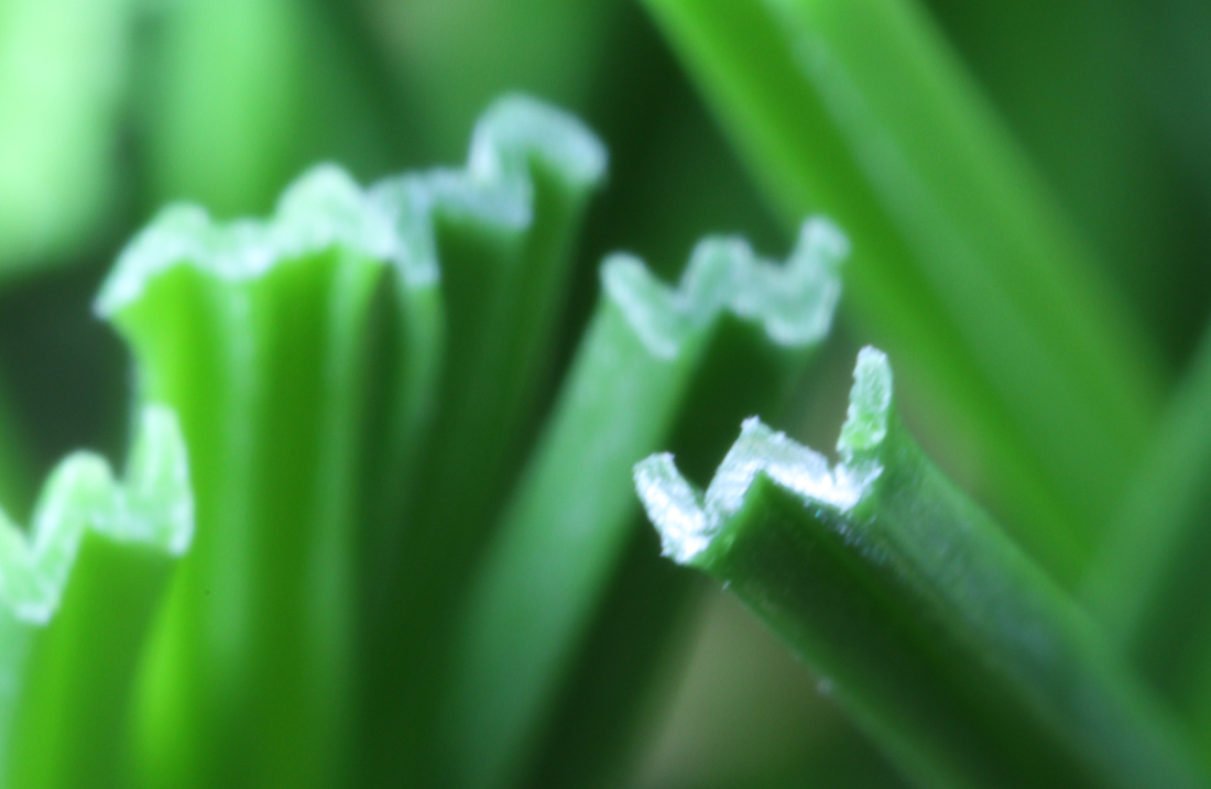 Artificial Grass Technologies Performance Series | Engineered Blades