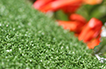 Artificial Grass Putting Greens