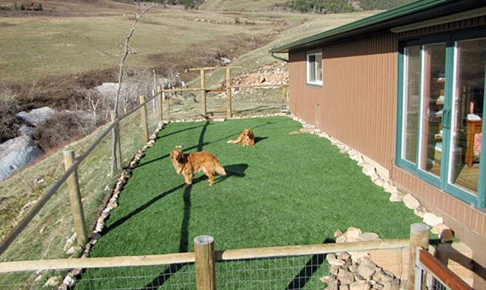 Pet Grass, Artificial Grass For Dogs Ohio Grass